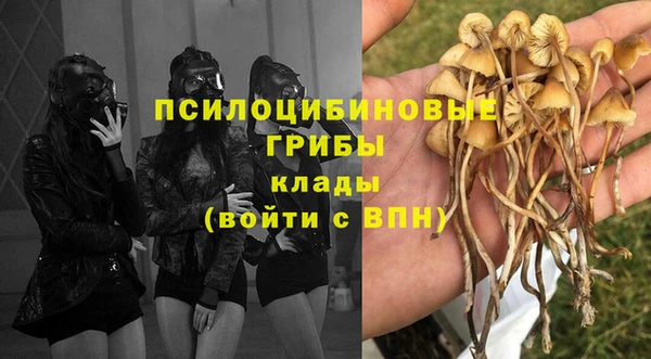 молекула духа Абинск